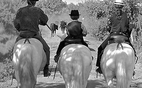 Mas du Menage en Camargue Manade Clauzel